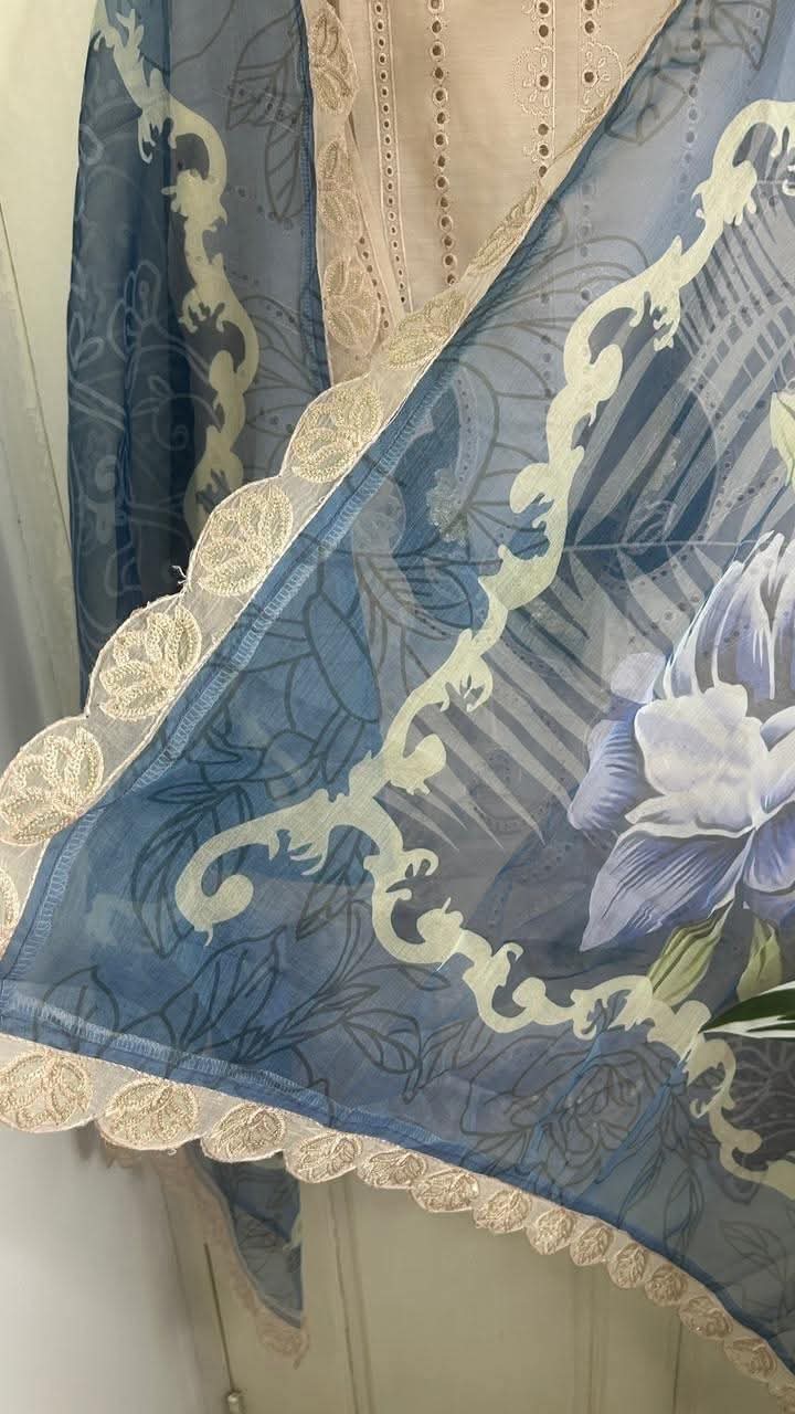 FB_IMG_1764738158703